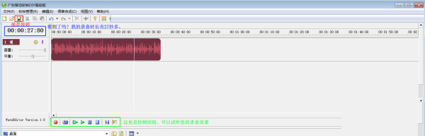 yinpin11