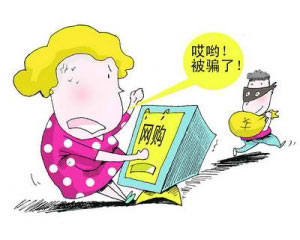 大学生夫妻网店售假百万被刑拘  