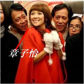 淘宝热卖单品