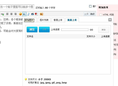 新版论坛版面传图专用 1